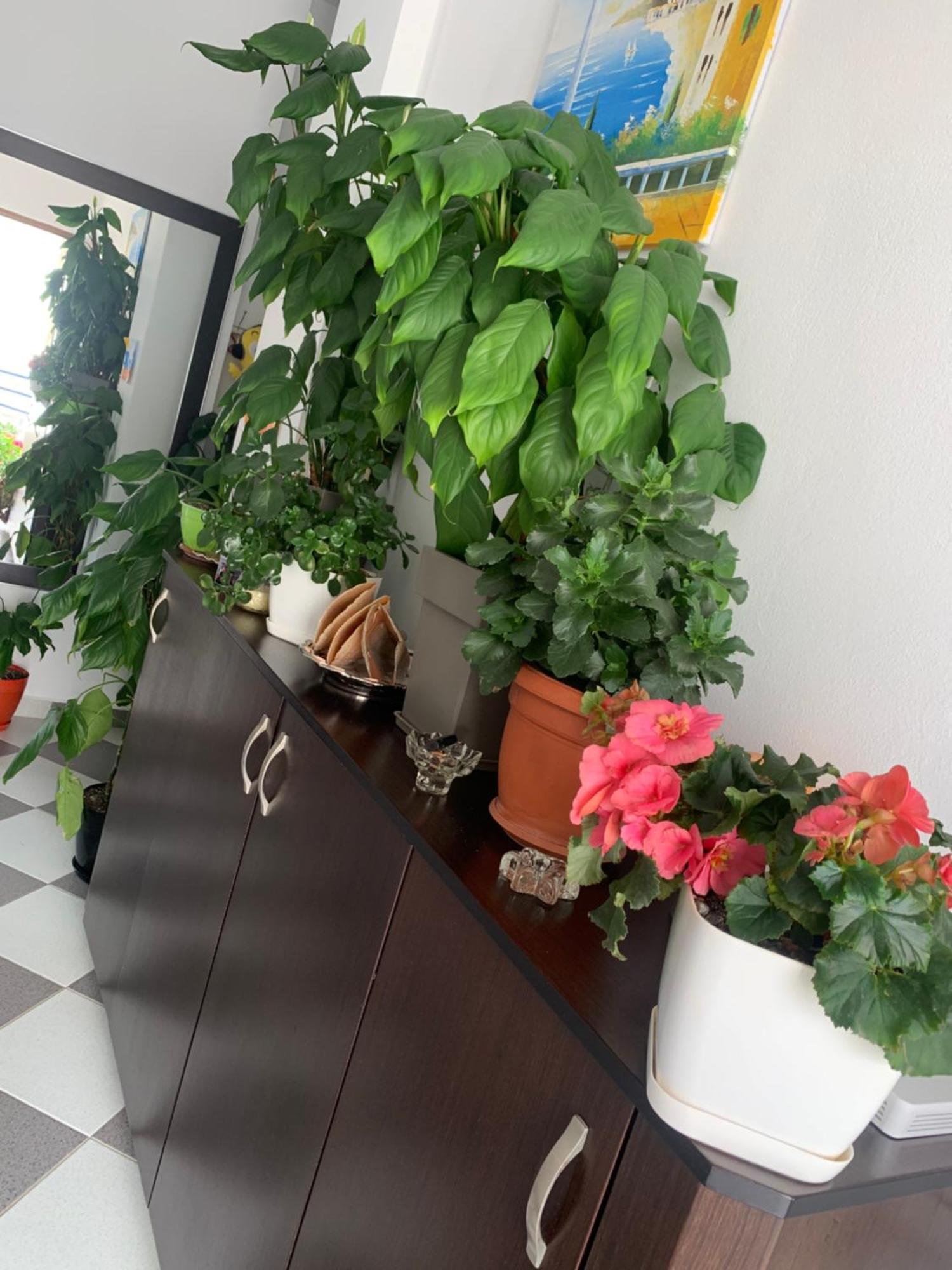 Guesthouse Jasmine คซามิล ภายนอก รูปภาพ